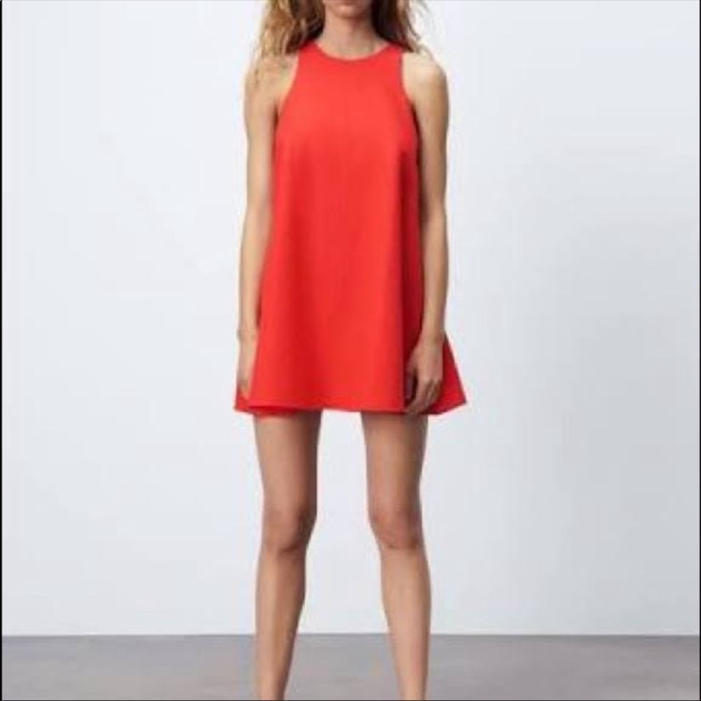 Zara Trapeze Dress